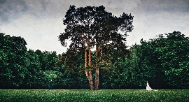 свадебная фотосессия в усадьбе Царицыно